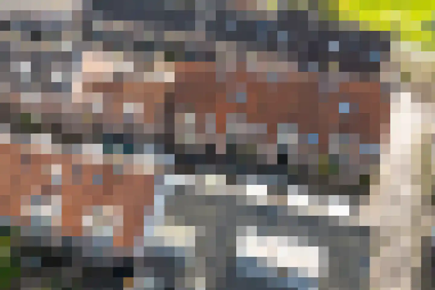 Wilhelminastraat 39 Wijk bij Duurstede thumbnail 43