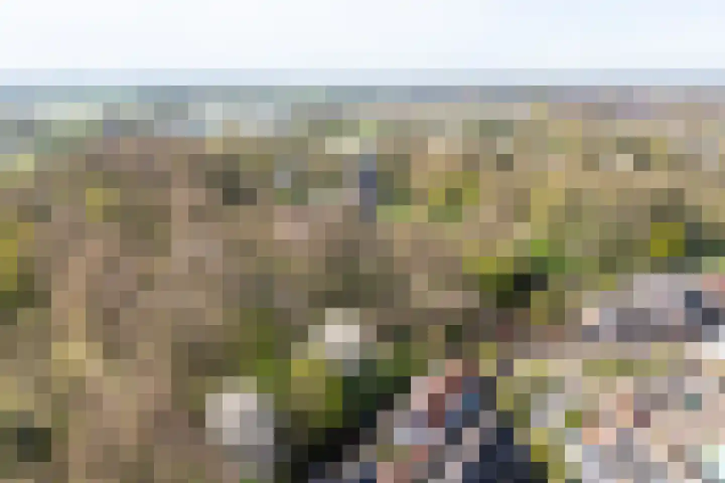 Wilhelminastraat 39 Wijk bij Duurstede thumbnail 47