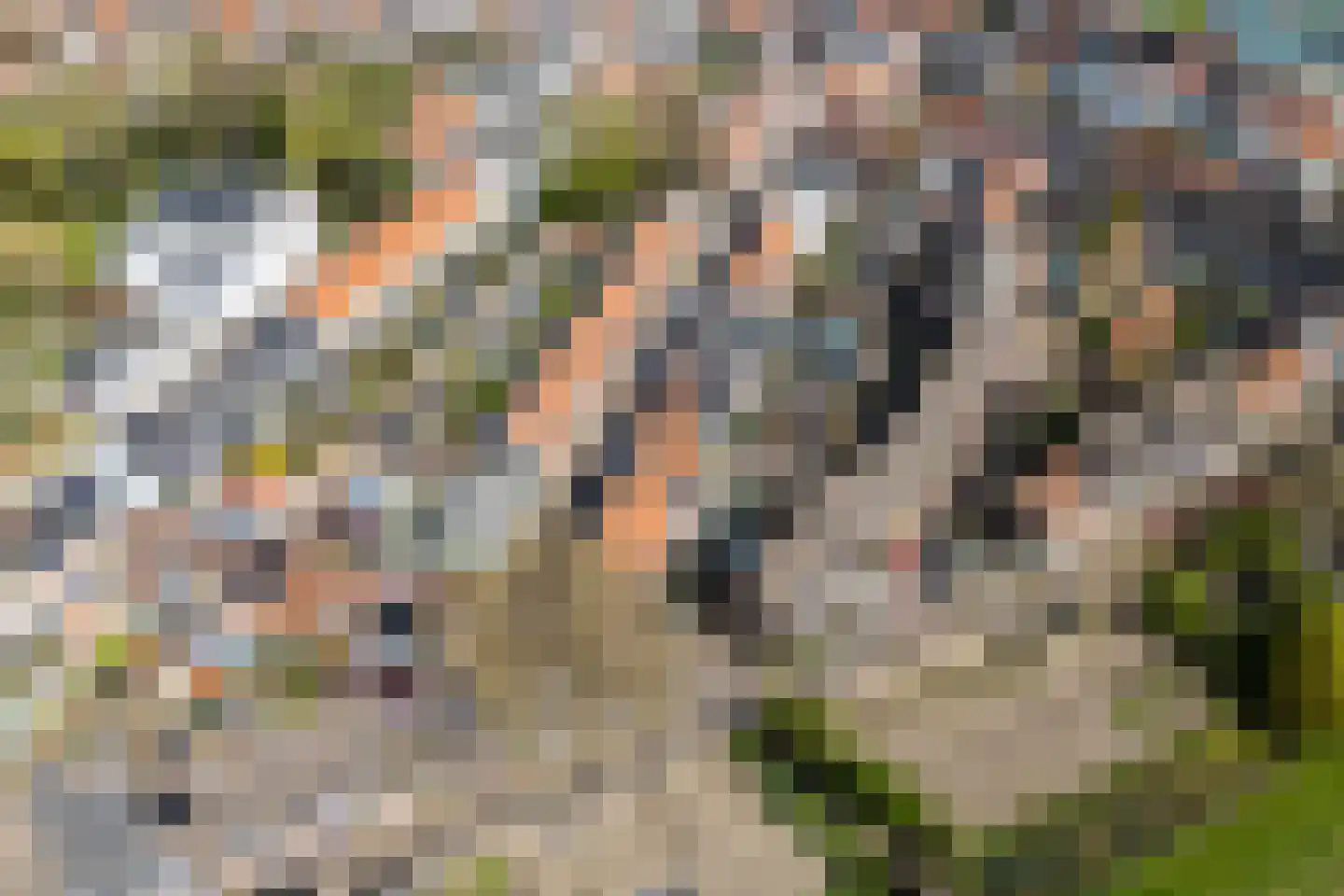 Wilhelminastraat 39 Wijk bij Duurstede thumbnail 50