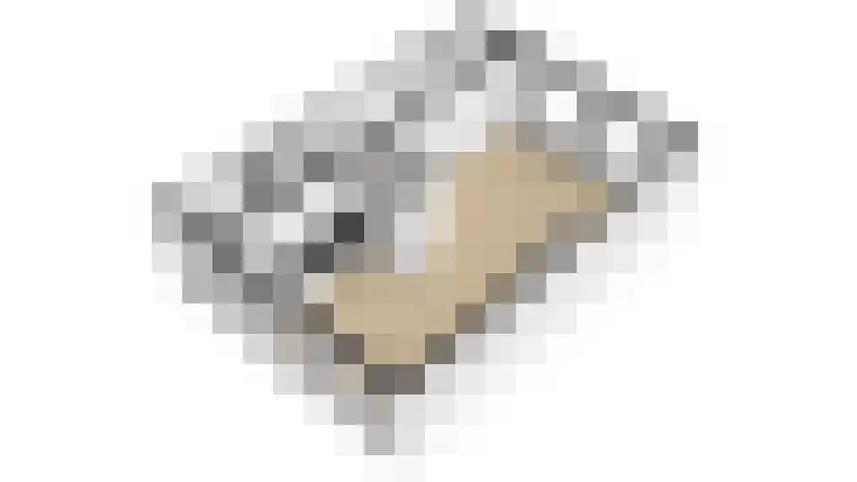 Wilhelminastraat 39 Wijk bij Duurstede thumbnail 52
