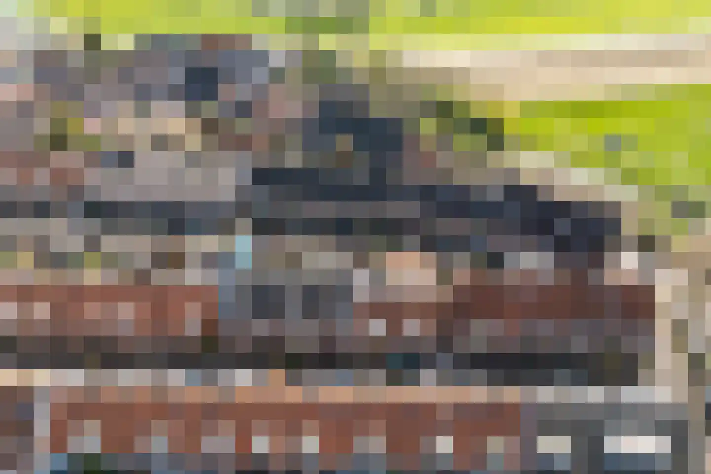 Wilhelminastraat 39 Wijk bij Duurstede thumbnail 8