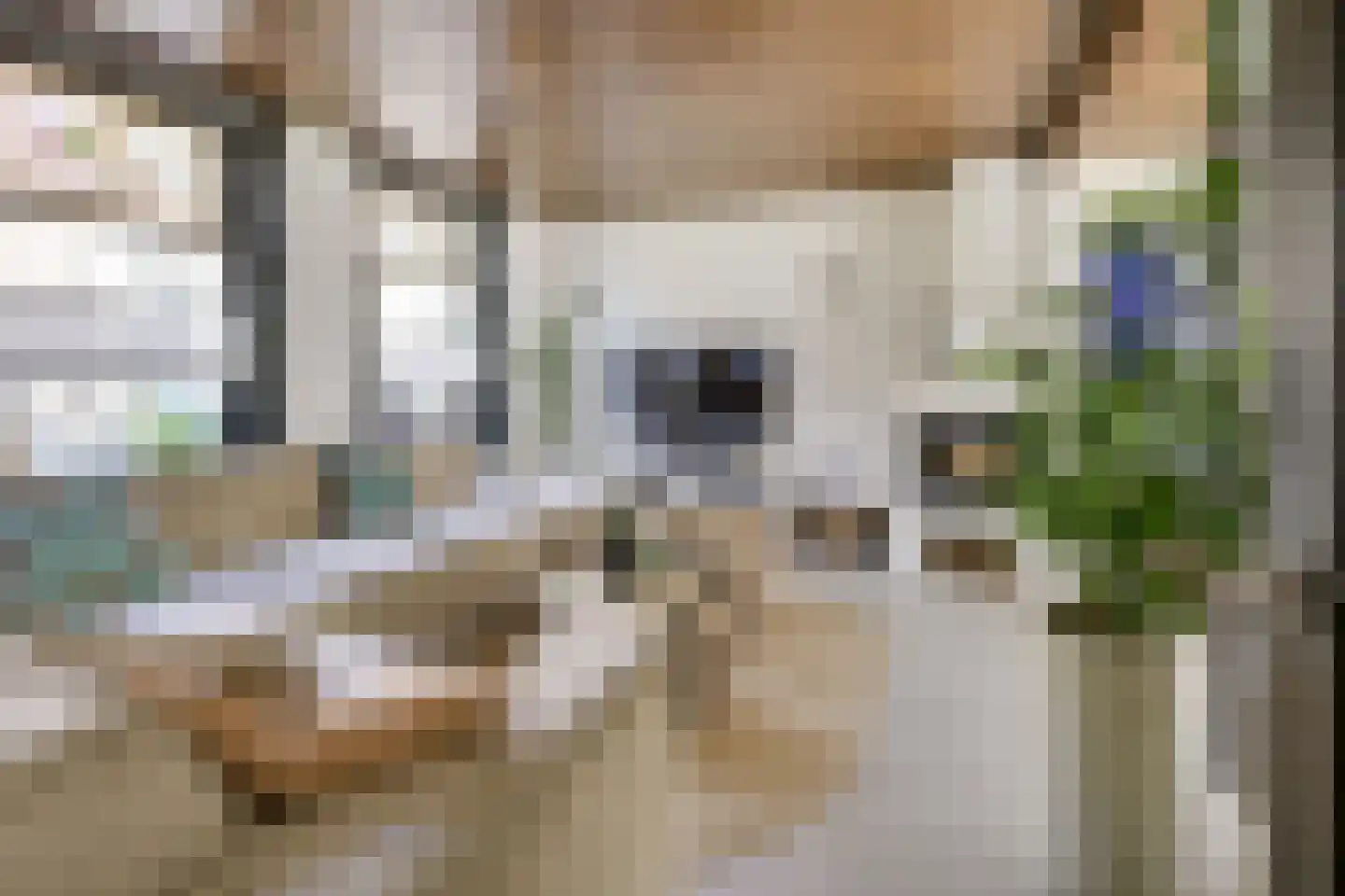 Wilhelminastraat 39 Wijk bij Duurstede thumbnail 9