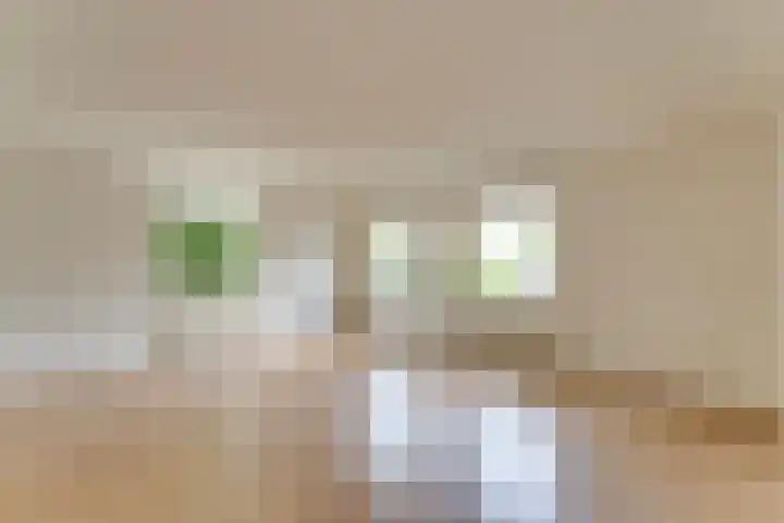 Wilhelminastraat 4 A Dinxperlo thumbnail 12