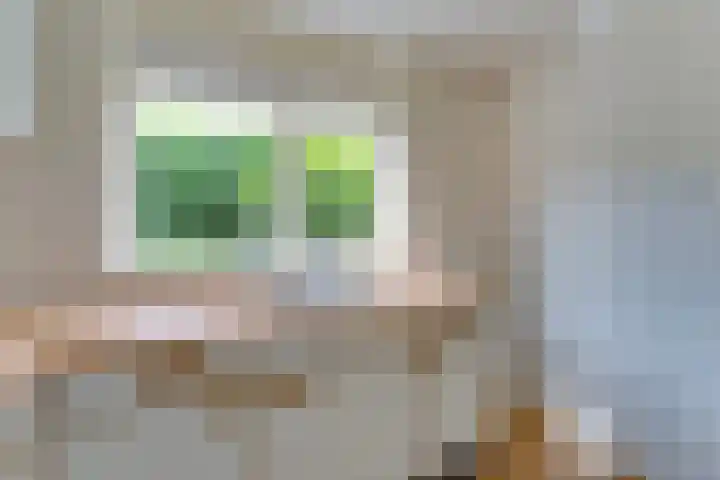 Wilhelminastraat 4 A Dinxperlo thumbnail 13