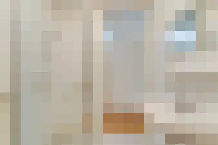 Wilhelminastraat 4 A Dinxperlo thumbnail 15
