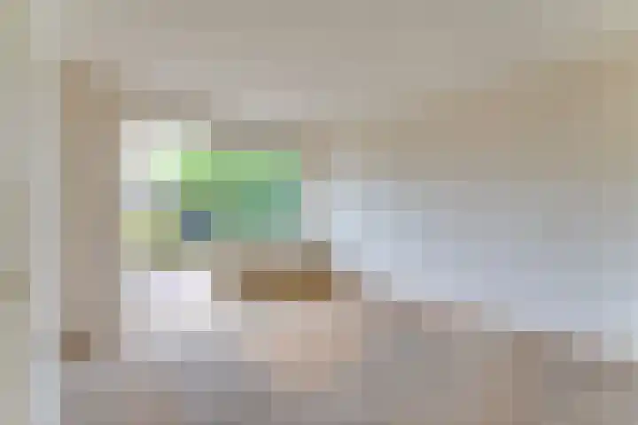 Wilhelminastraat 4 A Dinxperlo thumbnail 18