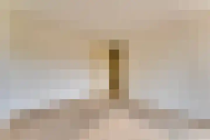 Wilhelminastraat 4 A Dinxperlo thumbnail 19
