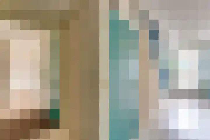 Wilhelminastraat 4 A Dinxperlo thumbnail 22