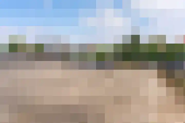 Wilhelminastraat 4 A Dinxperlo thumbnail 24
