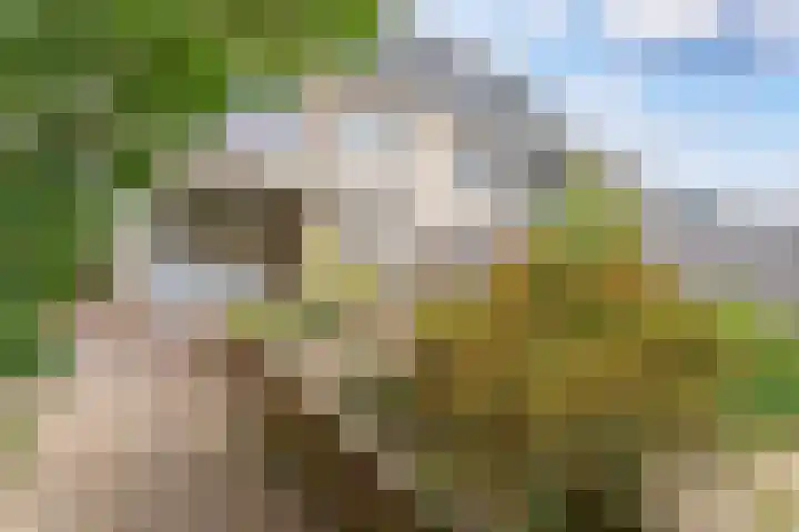 Wilhelminastraat 4 A Dinxperlo thumbnail 25