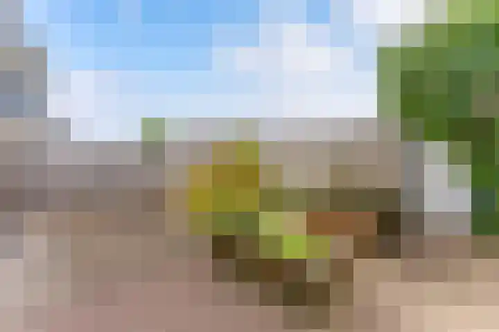 Wilhelminastraat 4 A Dinxperlo thumbnail 26