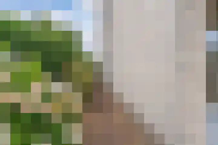 Wilhelminastraat 4 A Dinxperlo thumbnail 28