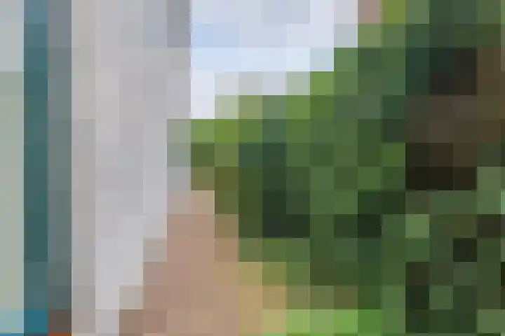 Wilhelminastraat 4 A Dinxperlo thumbnail 29
