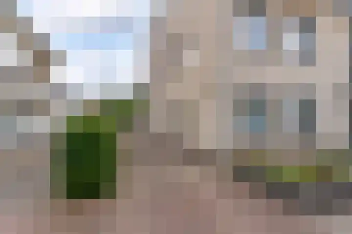 Wilhelminastraat 4 A Dinxperlo thumbnail 33