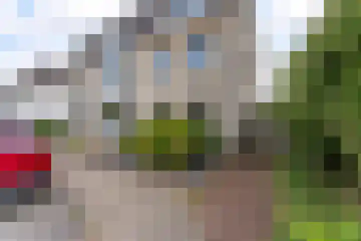 Wilhelminastraat 4 A Dinxperlo thumbnail 35