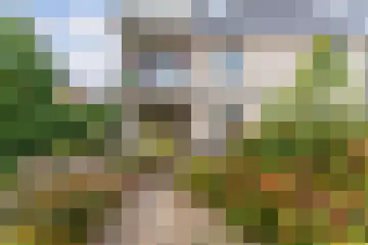 Wilhelminastraat 4 A Dinxperlo thumbnail 4