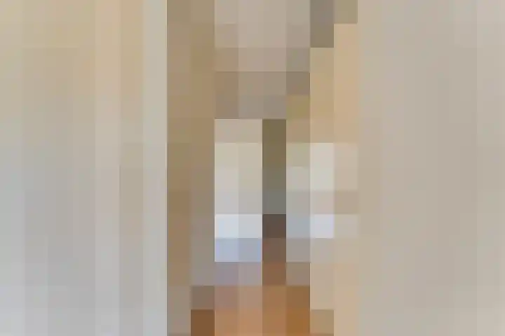 Wilhelminastraat 4 A Dinxperlo thumbnail 7
