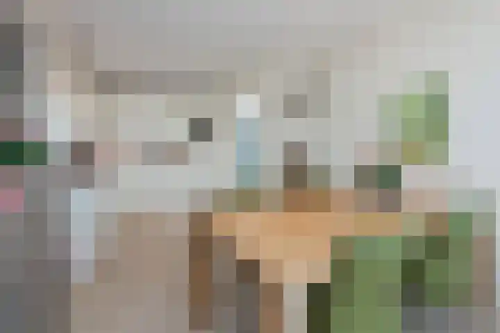 Wilhelminastraat 4 Aalsmeer thumbnail 13