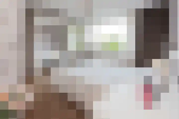 Wilhelminastraat 4 Aalsmeer thumbnail 16