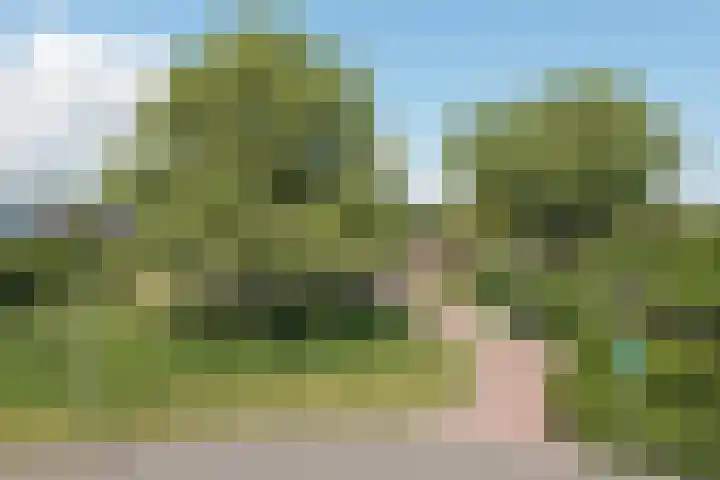 Wilhelminastraat 4 Aalsmeer thumbnail 21