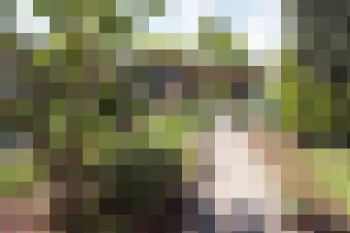 Wilhelminastraat 4 Aalsmeer thumbnail 4