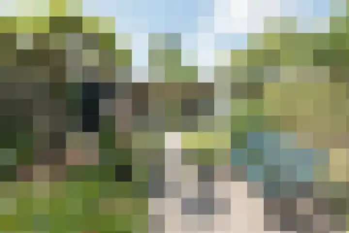 Wilhelminastraat 4 Aalsmeer thumbnail 5