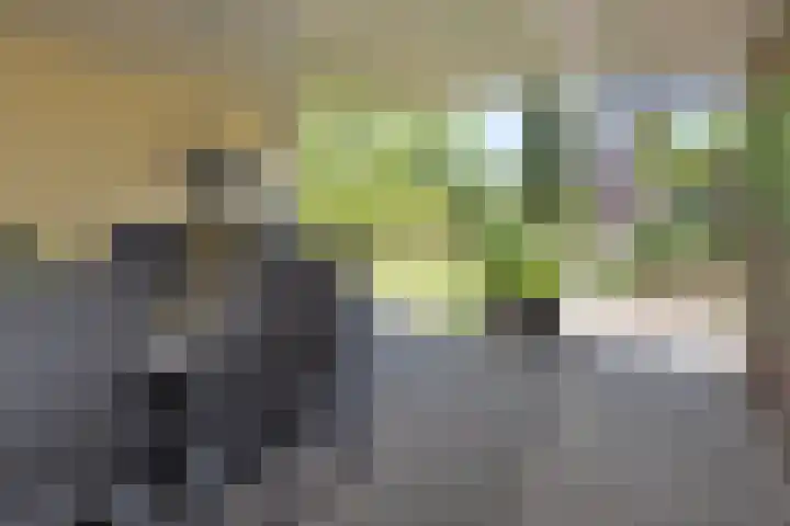 Wilhelminastraat 4 Aalsmeer thumbnail 6
