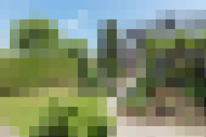 Wilhelminastraat 4 Aalsmeer thumbnail 7