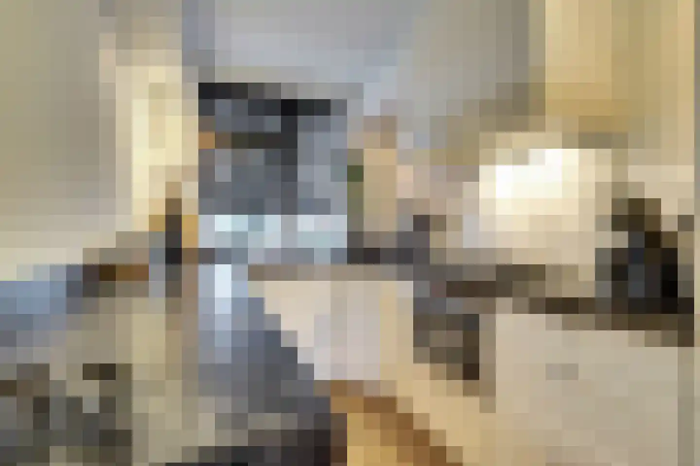 Wilhelminastraat 4 b Wamel thumbnail 10