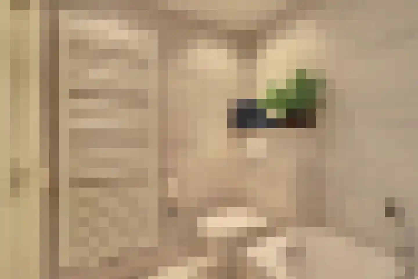 Wilhelminastraat 4 b Wamel thumbnail 19