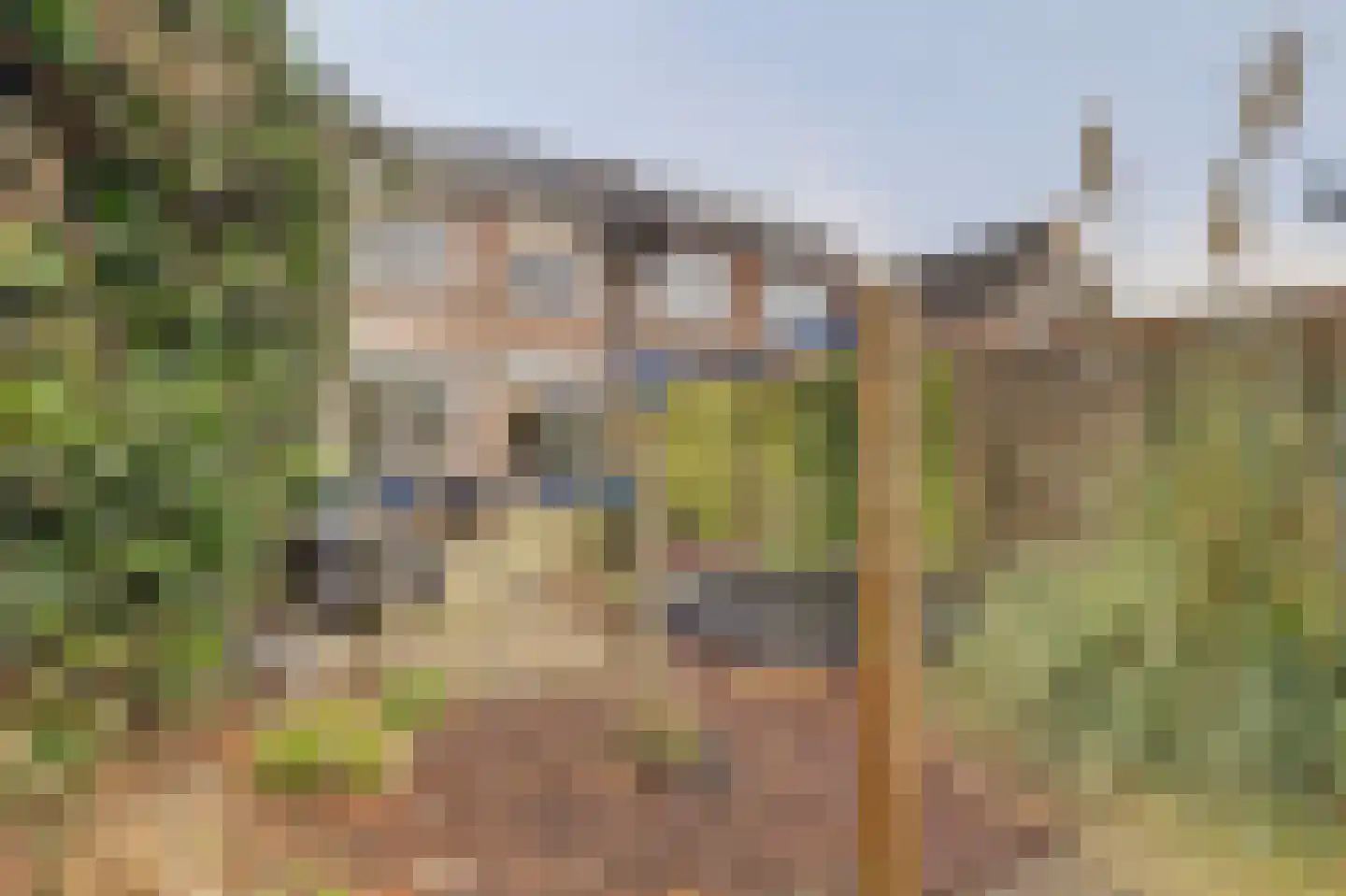 Wilhelminastraat 4 b Wamel thumbnail 31