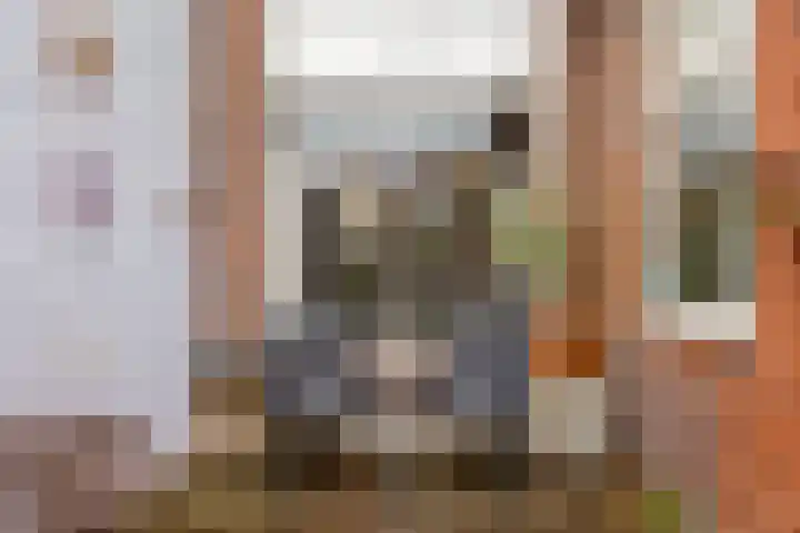 Wilhelminastraat 4 Borne thumbnail 16