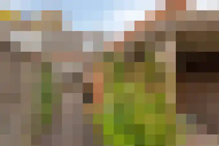Wilhelminastraat 4 Borne thumbnail 18