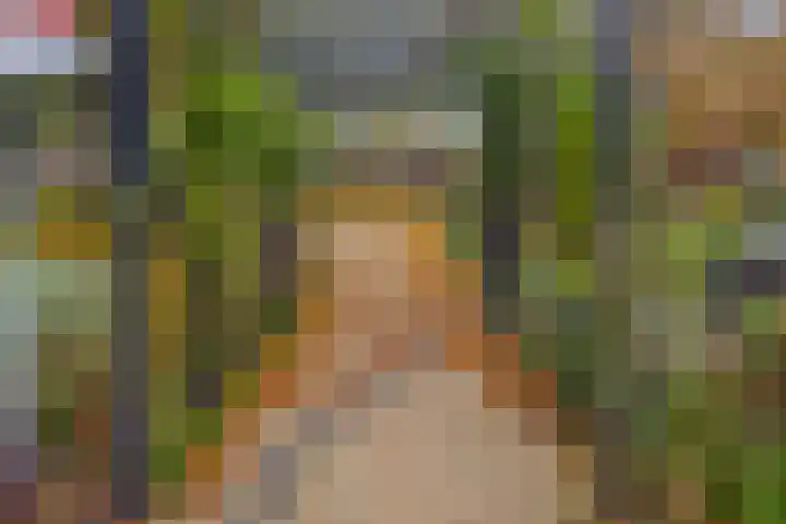 Wilhelminastraat 4 Borne thumbnail 19