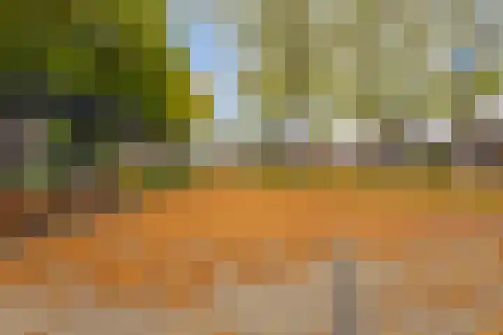 Wilhelminastraat 4 Borne thumbnail 20