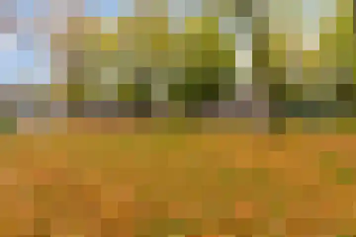 Wilhelminastraat 4 Borne thumbnail 21