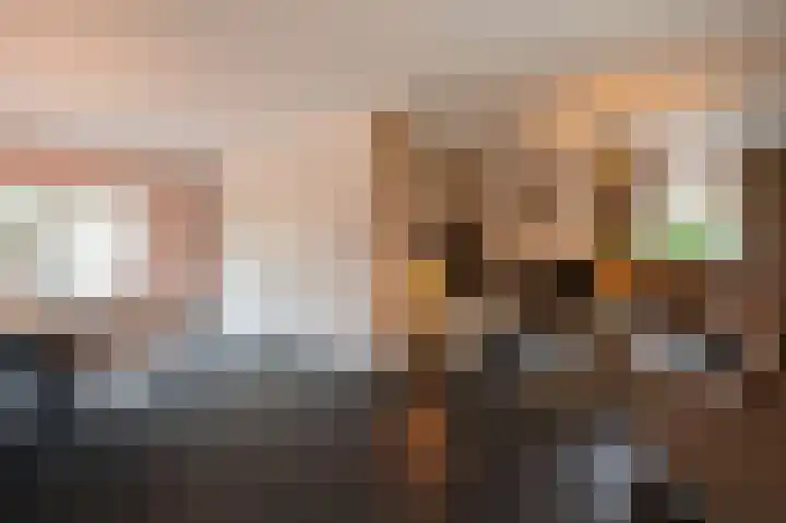 Wilhelminastraat 4 Bosschenhoofd thumbnail 11