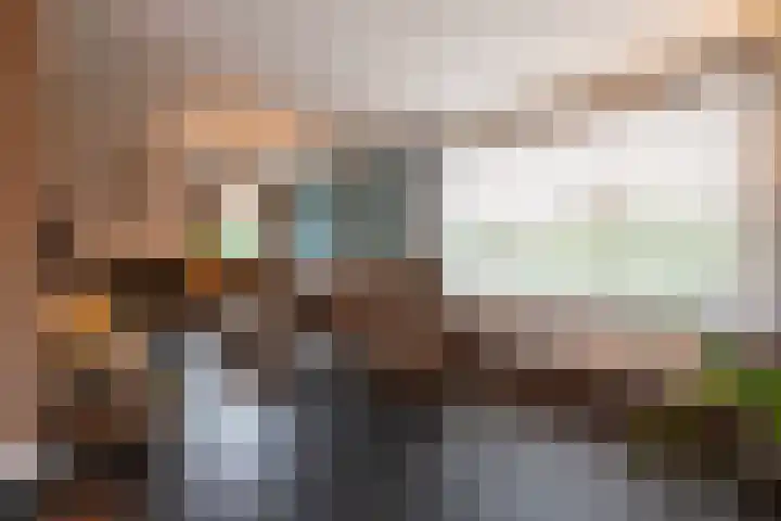 Wilhelminastraat 4 Bosschenhoofd thumbnail 12