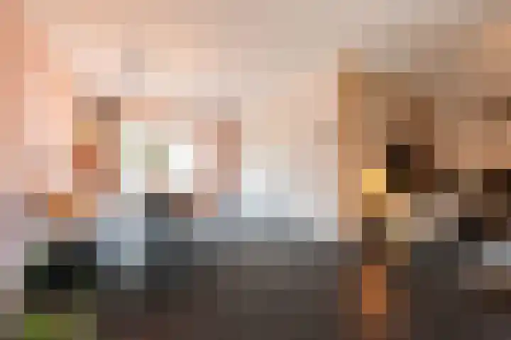 Wilhelminastraat 4 Bosschenhoofd thumbnail 15