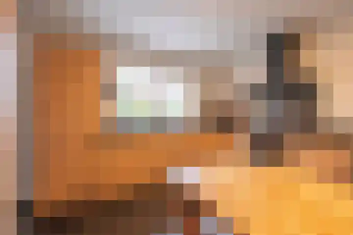 Wilhelminastraat 4 Bosschenhoofd thumbnail 19