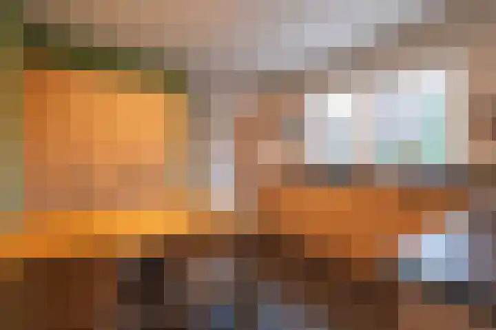 Wilhelminastraat 4 Bosschenhoofd thumbnail 20