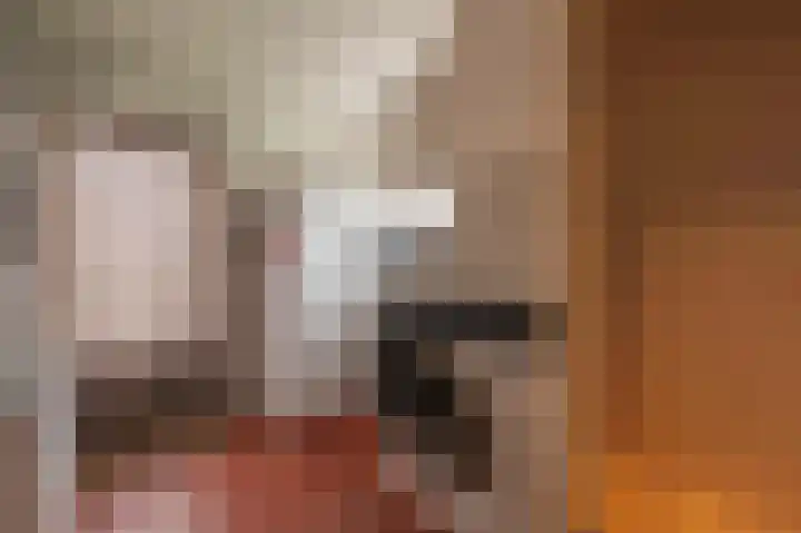 Wilhelminastraat 4 Bosschenhoofd thumbnail 22