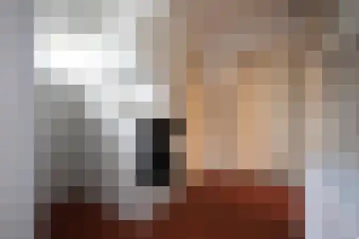 Wilhelminastraat 4 Bosschenhoofd thumbnail 23