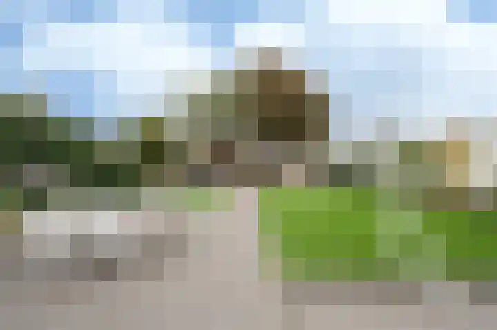 Wilhelminastraat 4 Bosschenhoofd thumbnail 26