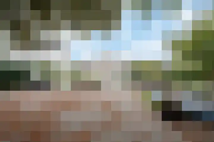 Wilhelminastraat 4 Bosschenhoofd thumbnail 28