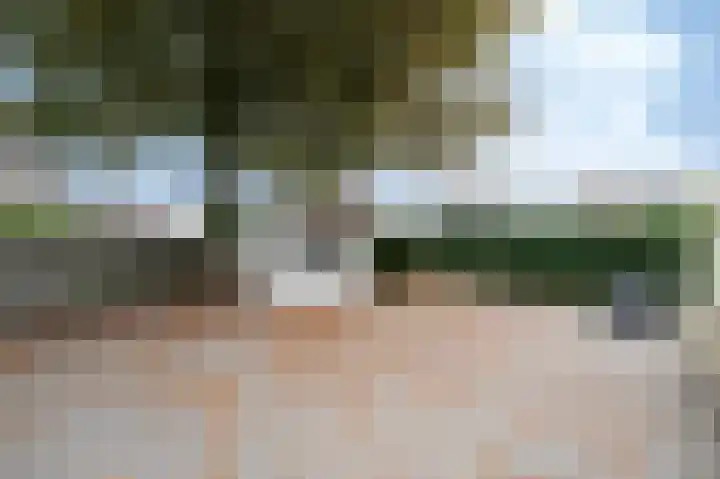 Wilhelminastraat 4 Bosschenhoofd thumbnail 29