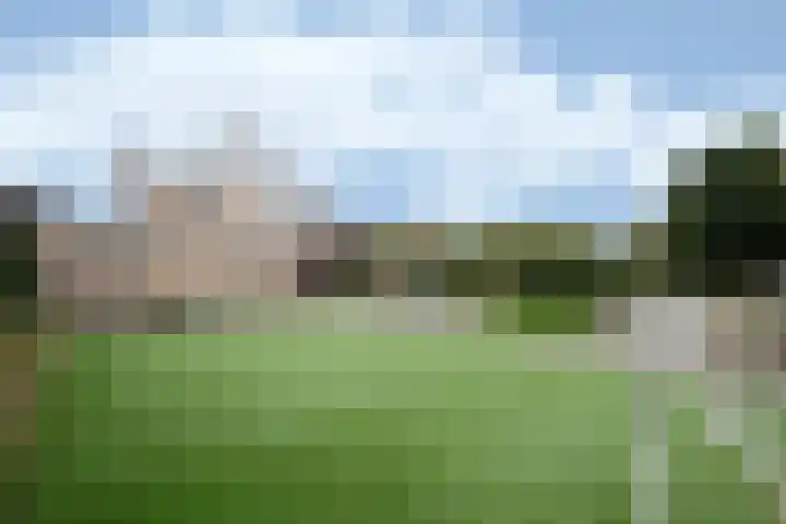 Wilhelminastraat 4 Bosschenhoofd thumbnail 30