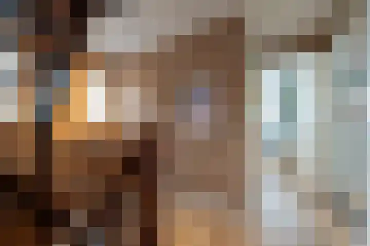 Wilhelminastraat 4 Bosschenhoofd thumbnail 31