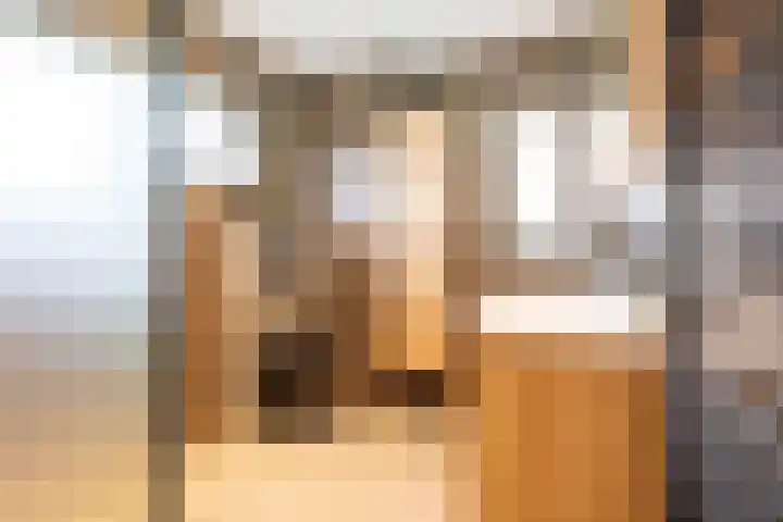 Wilhelminastraat 4 Bosschenhoofd thumbnail 34