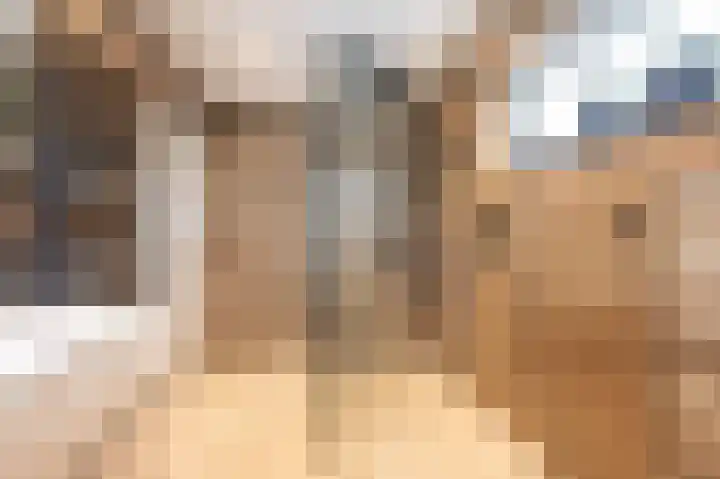 Wilhelminastraat 4 Bosschenhoofd thumbnail 36